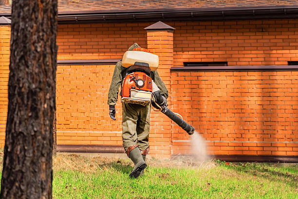 Bed Bug Clearance Verification and Documentation in Park Forest